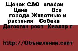 Щенок САО (алабай) › Цена ­ 10 000 - Все города Животные и растения » Собаки   . Дагестан респ.,Кизляр г.